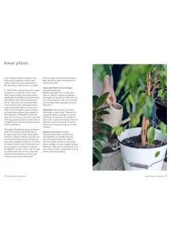 Green Living -Yogamatters 81s2VRM599L