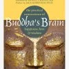 Buddha’s Brain: The Practical Neuroscience Of Happiness, Love, And Wisdom -Yogamatters 9781572246959 buddha brain