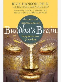 Buddha’s Brain: The Practical Neuroscience Of Happiness, Love, And Wisdom