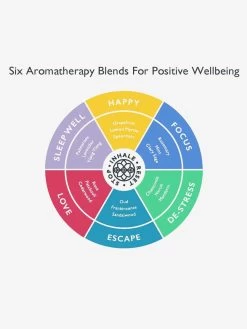 Scentered Aromatherapy Discovery Tin -Yogamatters Aromatherapy Discovery Tin 4