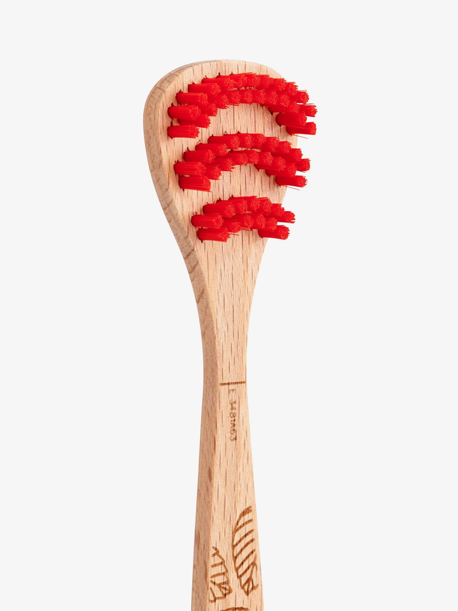 Georganics Beechwood Tonguebrush 4 Georganics Beechwood Tonguebrush - Image 2