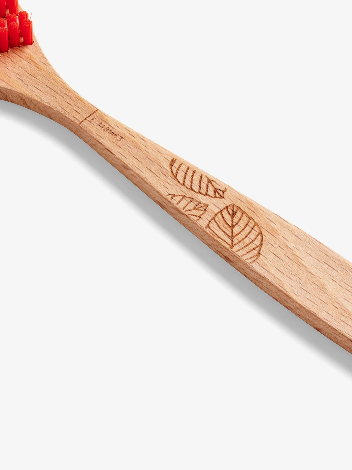 Georganics Beechwood Tonguebrush 5 Georganics Beechwood Tonguebrush - Image 3