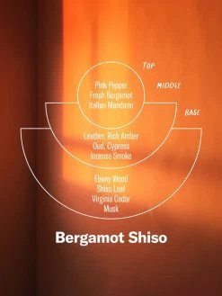 P.F. Candle Co 7.2oz Alchemy Candle - Bergamot Shiso -Yogamatters Bergamot Shiso 3