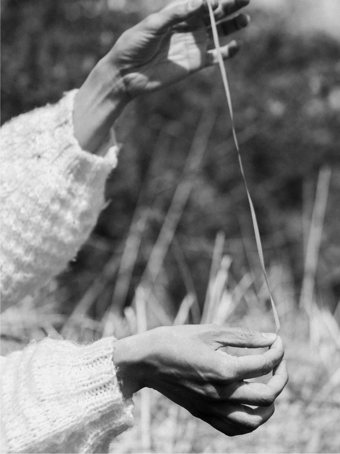 Bjork & Berries Hand Cream - Herbalist 4 Bjork & Berries Hand Cream - Herbalist - Image 3