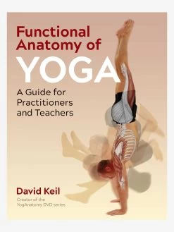 Functional Anatomy Of Yoga