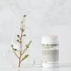 Malin+Goetz Botanical Deodorant -Yogamatters Malin Goetz Botanical 1 Deodorant