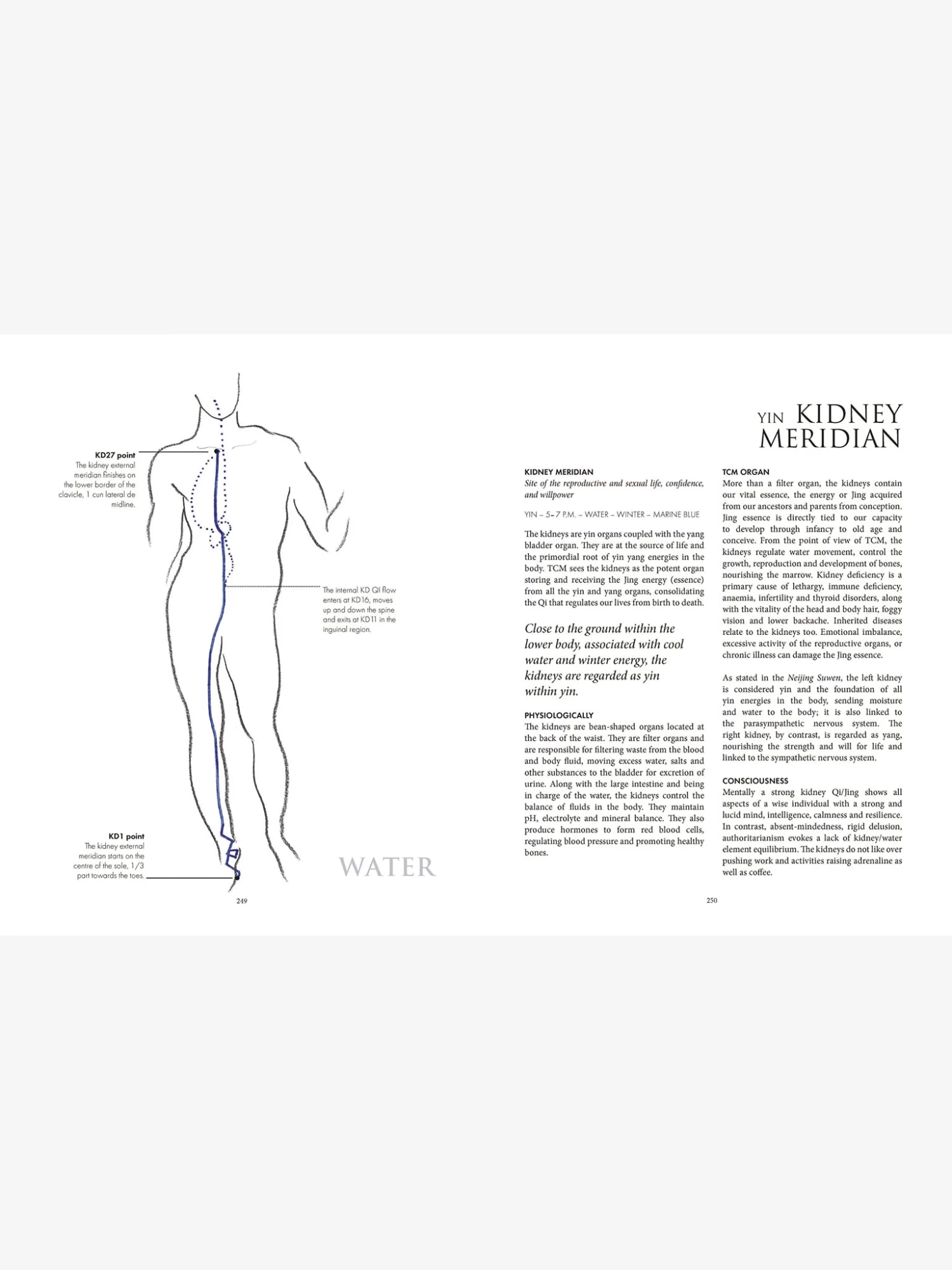 The Golden Chamber Of Qi 4 The Golden Chamber Of Qi - Image 2