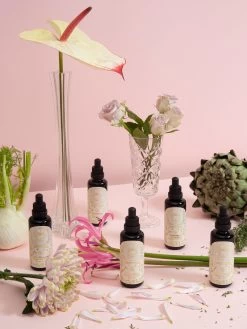 Wunder Workshop Botanical Guardian Tincture -Yogamatters WunderWorkshop Tincture AngelineBehr crop 04 161d6f44 06ff 45fa be7a f452f7eacf22