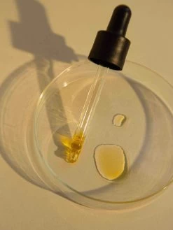 Ede Needs Must Face Oil 8 Ede Needs Must Face Oil -Yogamatters needs must face oil ede skincare 2