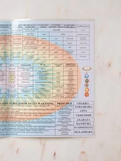 Chakras Laminated Folded A4 -Yogamatters the chakras folded right page