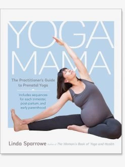 Yoga Mama: The Practitioner's Guide To Prenatal Yoga